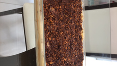 Pavê de bolacha salgada