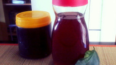 Xarope Caseiro de Guaco & Mel para a Tosse