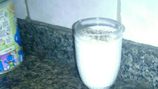 Leite da macaca (batida de coco)