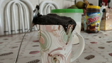 Bolo de caneca com cacau