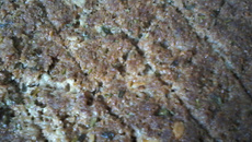 Quibe assado com requeijão - rápido e prático