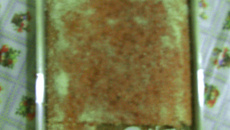 Bolo molhado de leite condensado e coco