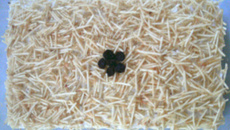 Sanduíche de Verão