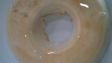 Pudim de leite que não precisa ir ao fogo