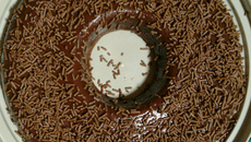 Brigadeirão de microondas