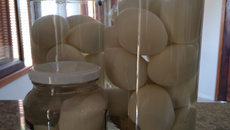 Ovos de galinha temperados em conserva