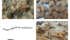 Nhoque integral (sem batatas)
