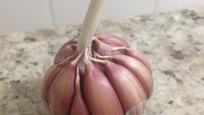 Patê de alho cremoso