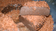 Brigadeirão de Micro-ondas