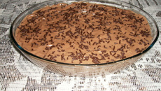 Pavê de biscoito e Nescau