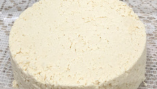 Queijo branco