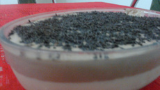 Mousse Cremoso Chocolate e Coco