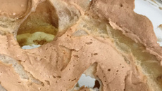 Manezinho araújo passo a passo