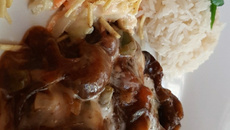 Parmegiana suculenta