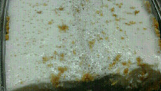 Prestígio a paraguaia