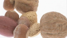 Bolo de pecan (tipo de noz)