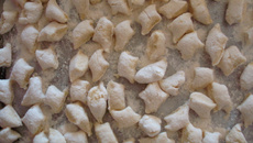 Nhoque famoso da dona Sandra (acompanha molho branco)