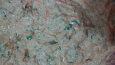 Patê de atum com cenoura