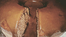 Falsa ganache de chocolate