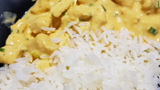 Estrogonofe de frango Simples 