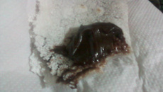 Brigadeiro sem leite condensado.