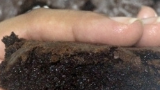 Brownie perfeição da Wilnna