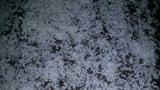 Recheio e cobertura prestígio