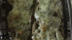 Beringela recheada com carne moída e molho bechamel