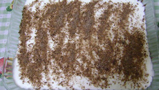 Pavê de Diamante Negro