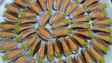 Docinhos de leite em pó simples