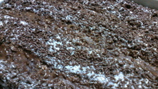 Bolo prestígio com coco queimado