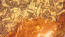 Sobremesa de wafer coberto de chocolate