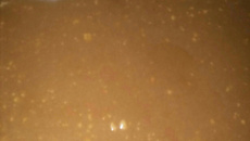 Doce de leite em pedaços fácil