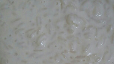 Arroz doce cremoso