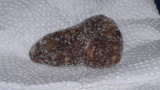 Cajuzinho do Carandina