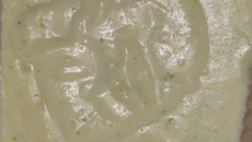 Creme de aspargo fácil