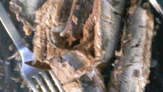Sardinha caseira