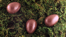 Ovo de Páscoa trufado sensação