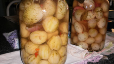 Conserva de jiló do bar do lula