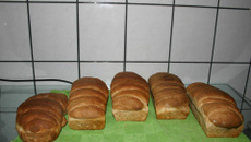 Pão de Ração Humana (Mix de Cereais)