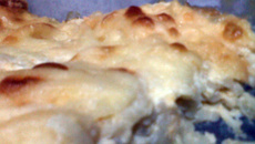 Macarrão ao molho branco e frango desfiado