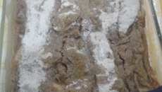 Sobremesa gostosa e rápida de banana d'água