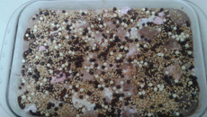 Torta de sorvete da Babi