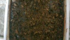 Pavê de brigadeiro trufado