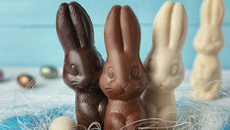 Coelhinho da Páscoa