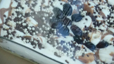 Delícia de uva da Pri