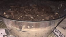 Mousse de negresco da Anna