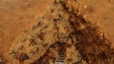 Bolo de ameixas e passas