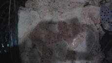 Panqueca de frango ao molho rosé