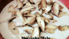 Molho branco com shitake